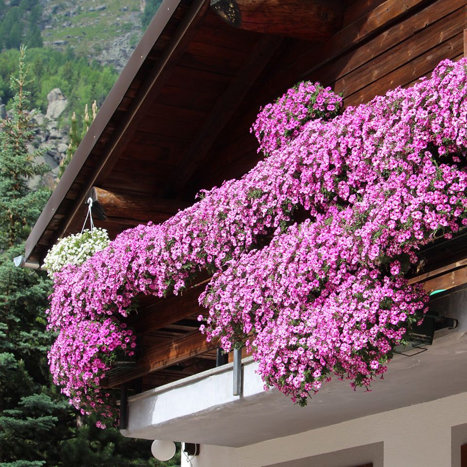 Insegna del Ristorante Lou Tchappe a Lillaz, frazione di Cogne